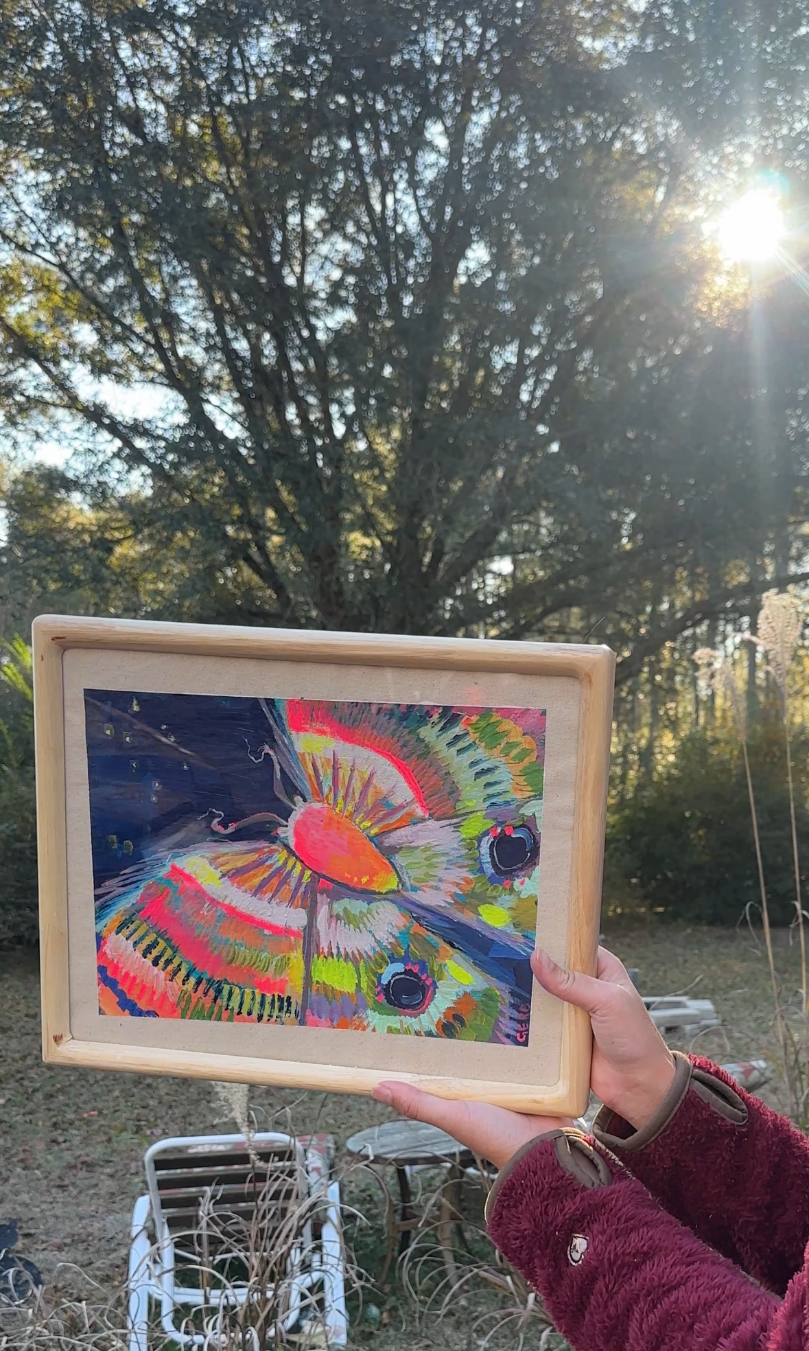 Night Moth: Framed Original